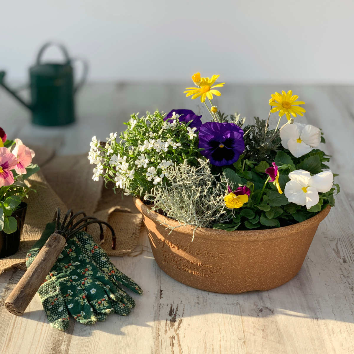 プランター エコプランター浅型 直径30cm 木粉入り （ 植木鉢 プラント