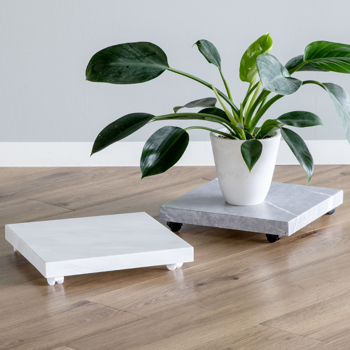 dショッピング |【大幅値引き2980円→1980円】 プランタースタンド