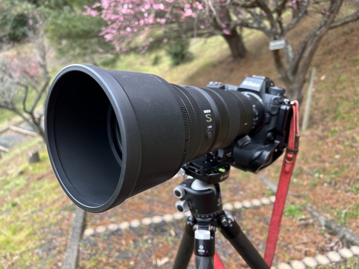 軽いのに高性能！！NIKKOR Z 400mm f/4.5 VR Sのレビュー | ログカメラ