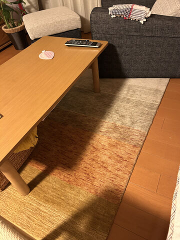 ER6175 商品詳細 てざわり・てざわりコレクションシリーズ |ラグ 絨毯