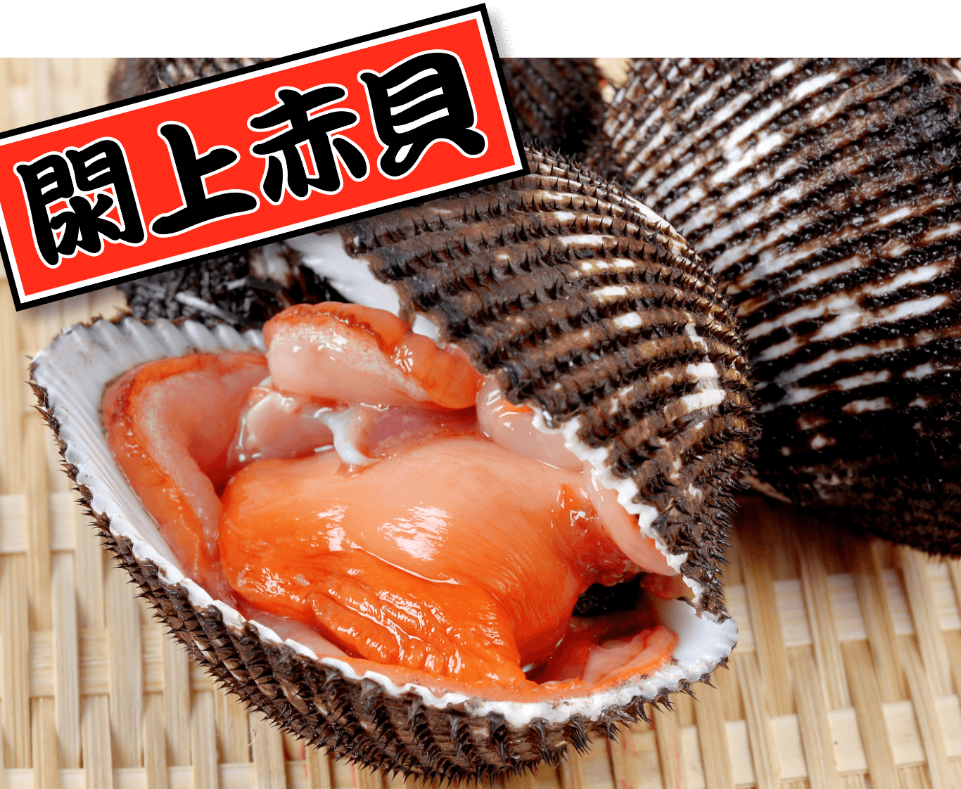 日本一 閖上の赤貝