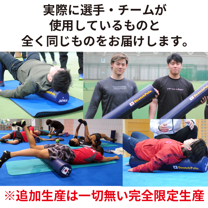 LPN SHOP / 【限定】2024 ストレッチポールEX JAPANモデル