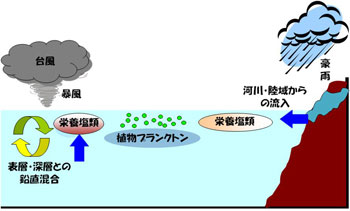 study | 修復生態学研究室 戸田研究室 －創価大学工学部－