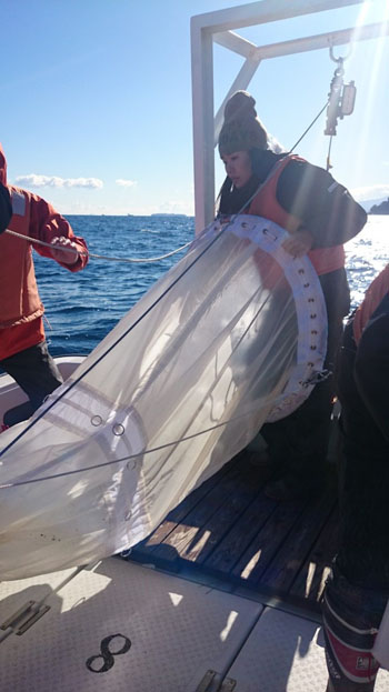 study | 修復生態学研究室 戸田研究室 －創価大学工学部－