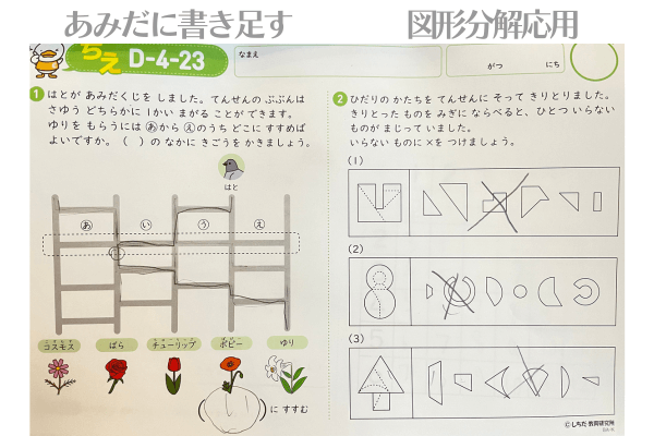 七田式 プリントC プリントD 七田式 プリントC プリントD 七田式プリントD