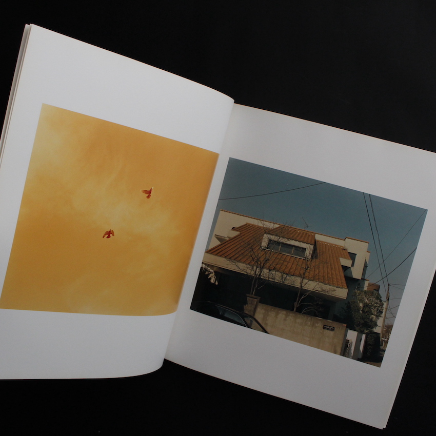 生きている（First Edition） - 佐内 正史 / Masafumi Sanai