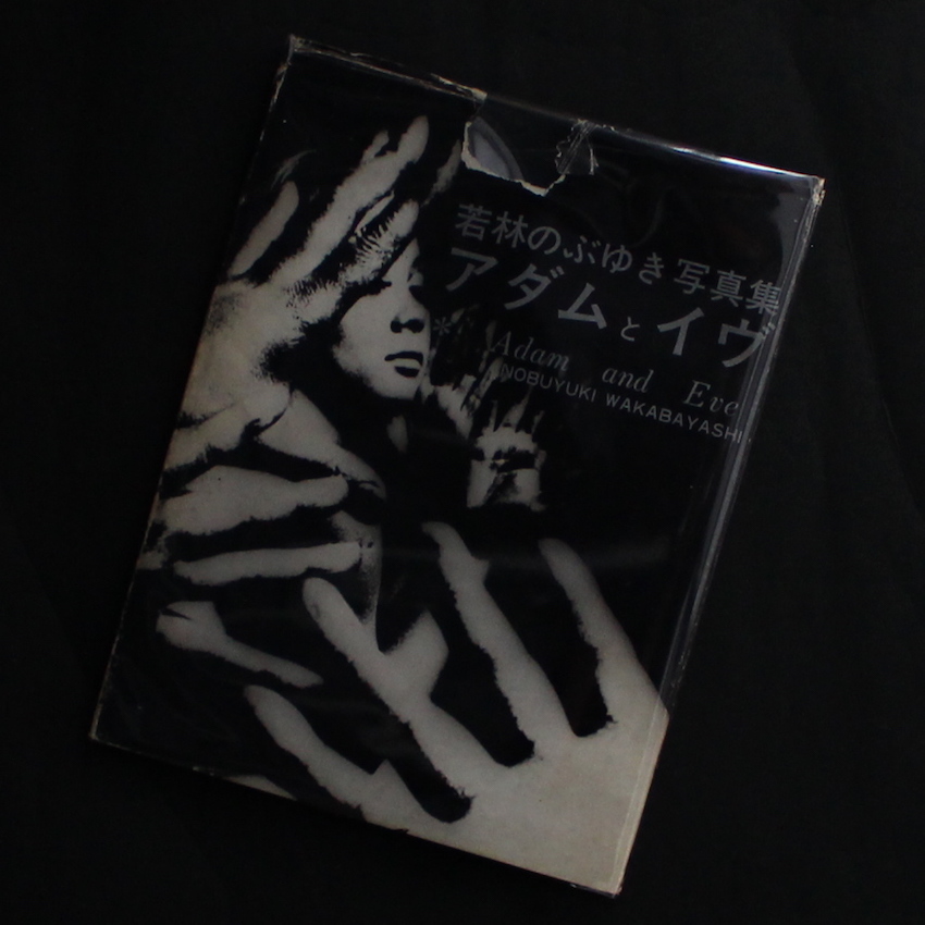 アダムとイヴ / Adam and Eve（No Publication Data） - 若林 のぶゆき