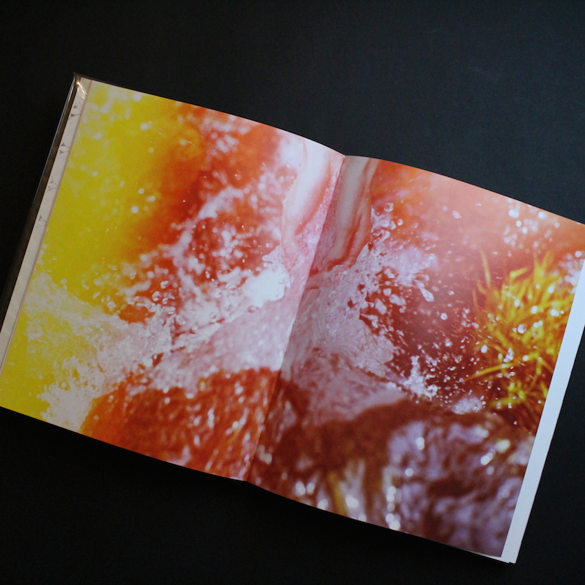 Not in Fashion（Signed） - Mark Borthwick