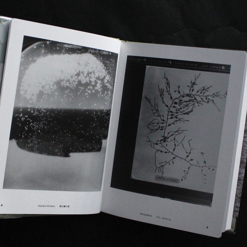 Jochen Lempert Field Guide - Jochen Lempert