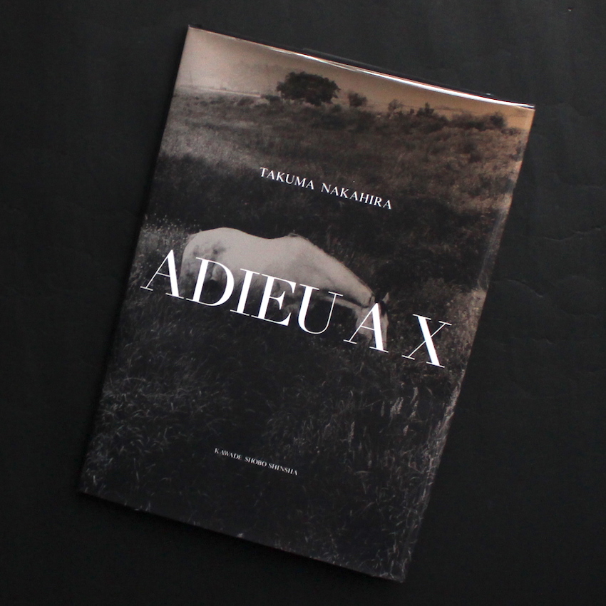 アデュウ ア エックス（新装版） / Adieu A X（New Edition） - 中平