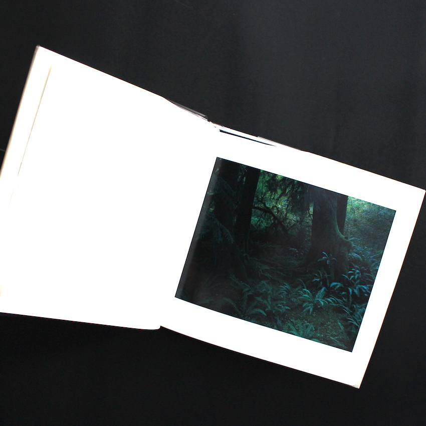 Visions of Japan（Japanese Version） - 上田 義彦 / Yoshihiko Ueda