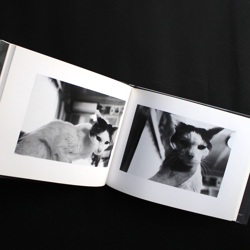 センチメンタルな旅 春の旅 / Sentimental Journey, Spring Journey