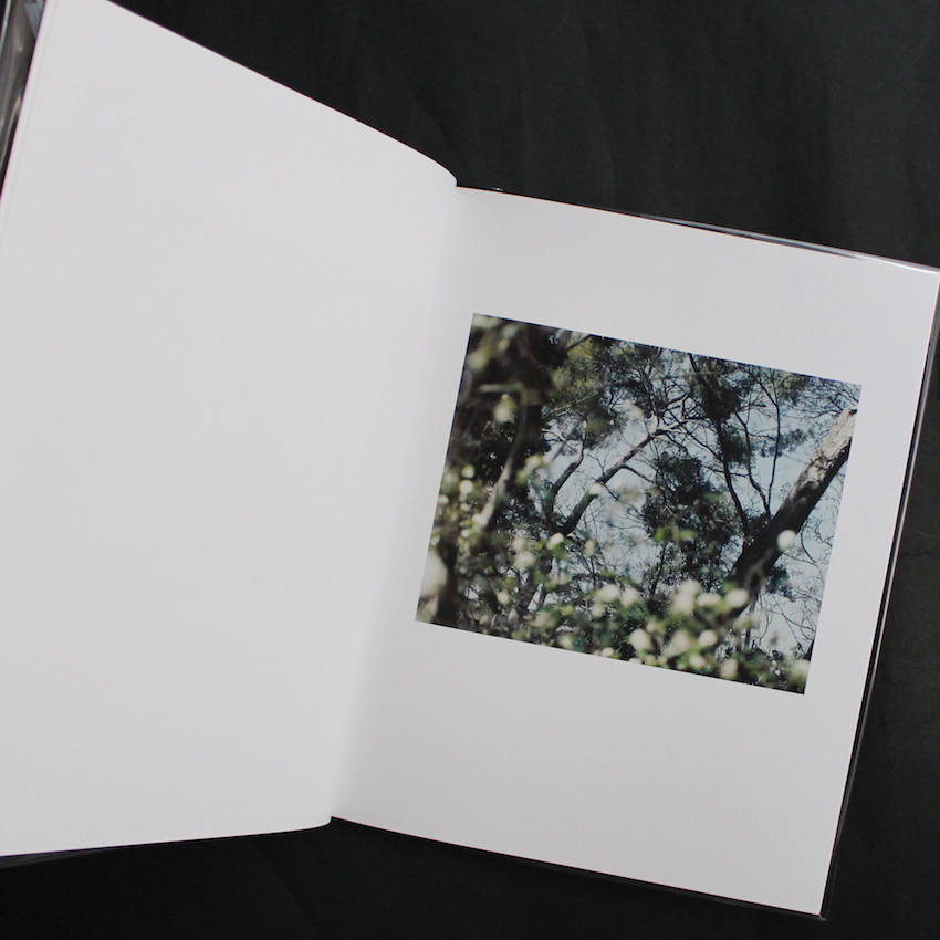 Atelier of Cezanne（Unopened） - 鈴木 理策 / Risaku Suzuki