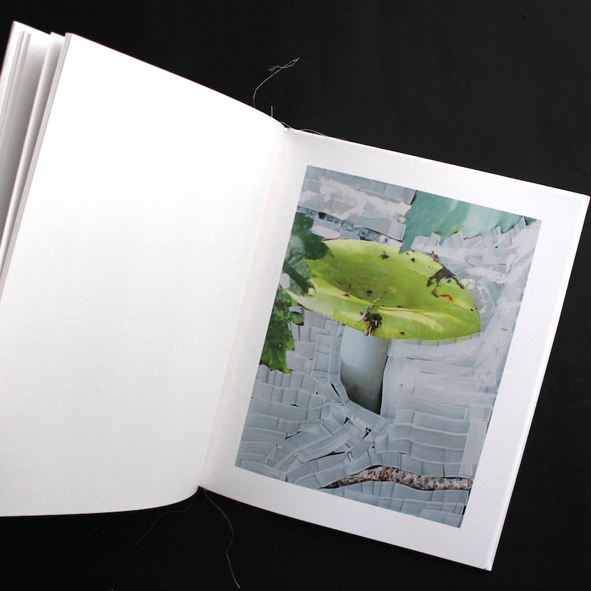 Of Mud and Lotus - Viviane Sassen