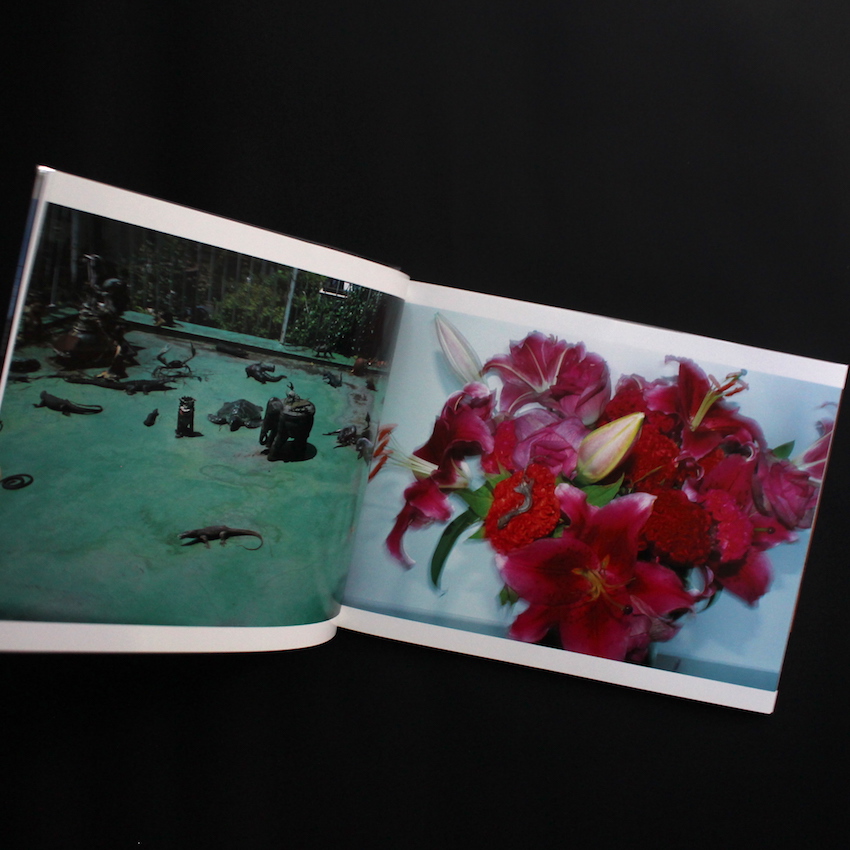 夏の中へ / Insert in Summer（Signed） - 荒木 経惟 / Nobuyoshi Araki