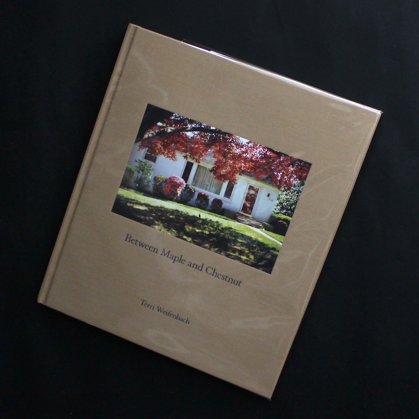 Between Maple and Chestnut - Terri Weifenbach