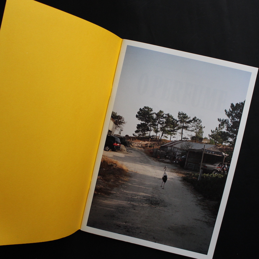 O Perfume Do Boi - Andre Principe