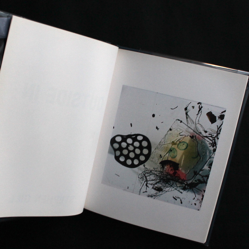 Outside In - Stephen Gill