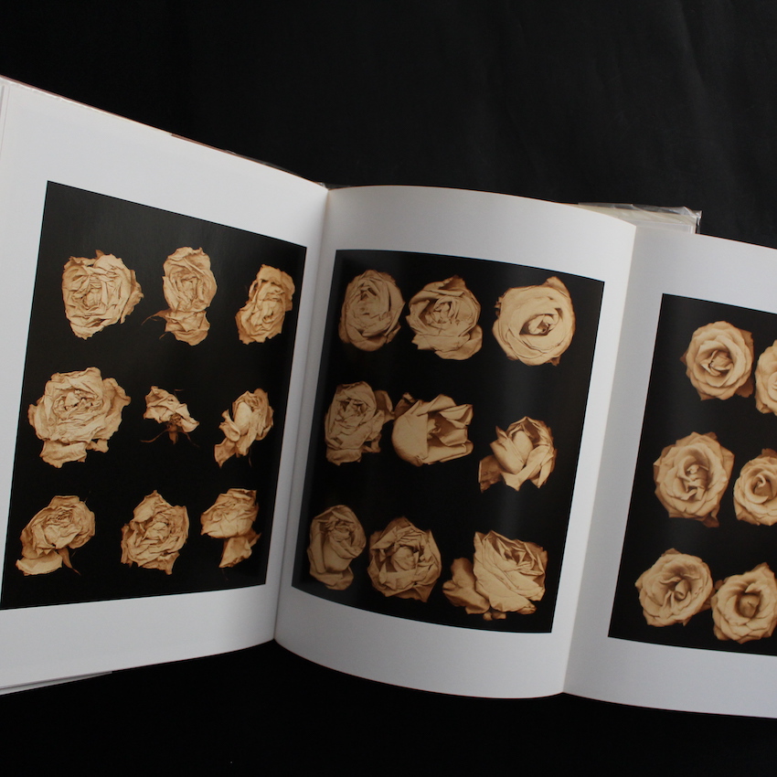 Flower Portraits The Life Cycle of Beauty - Joyce Tenneson