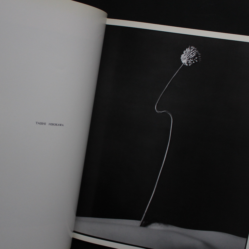 Hysteric No.2 Self - Portrait 1991