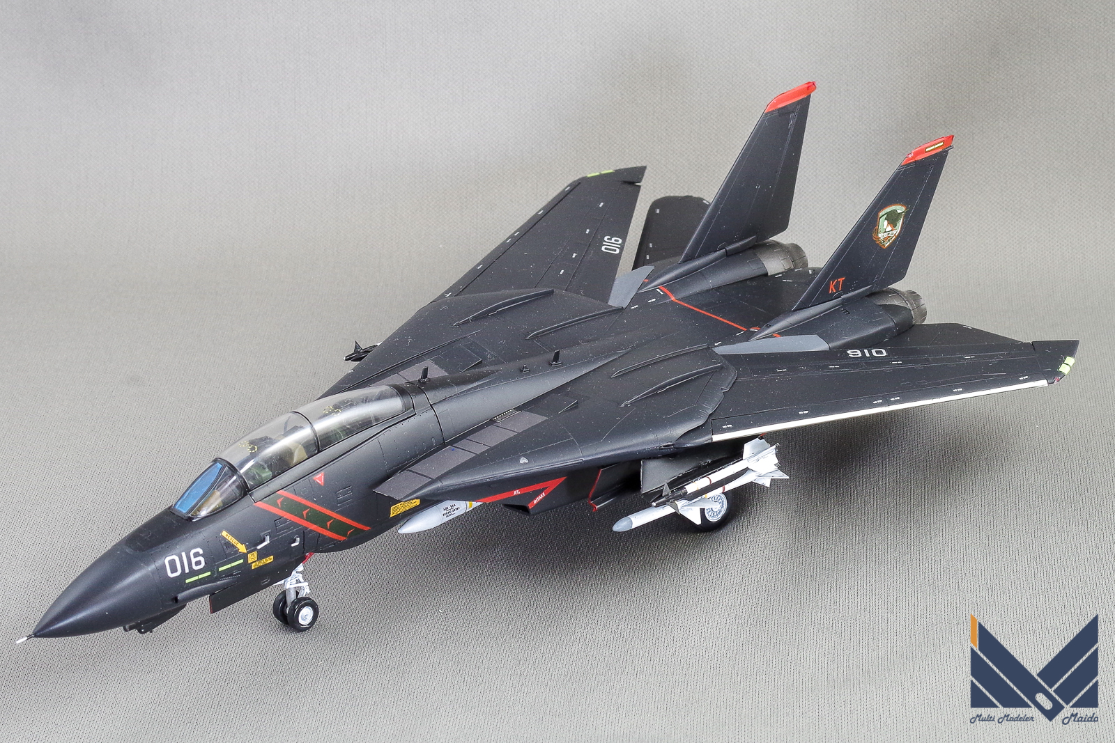 ハセガワ 1/72 F-14A ラーズグリーズ隊 HASEGAWA ACE COMBAT Razgriz