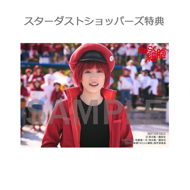 映画「はたらく細胞」【完全生産限定版】DVD｜STARDUST SHOPPERS