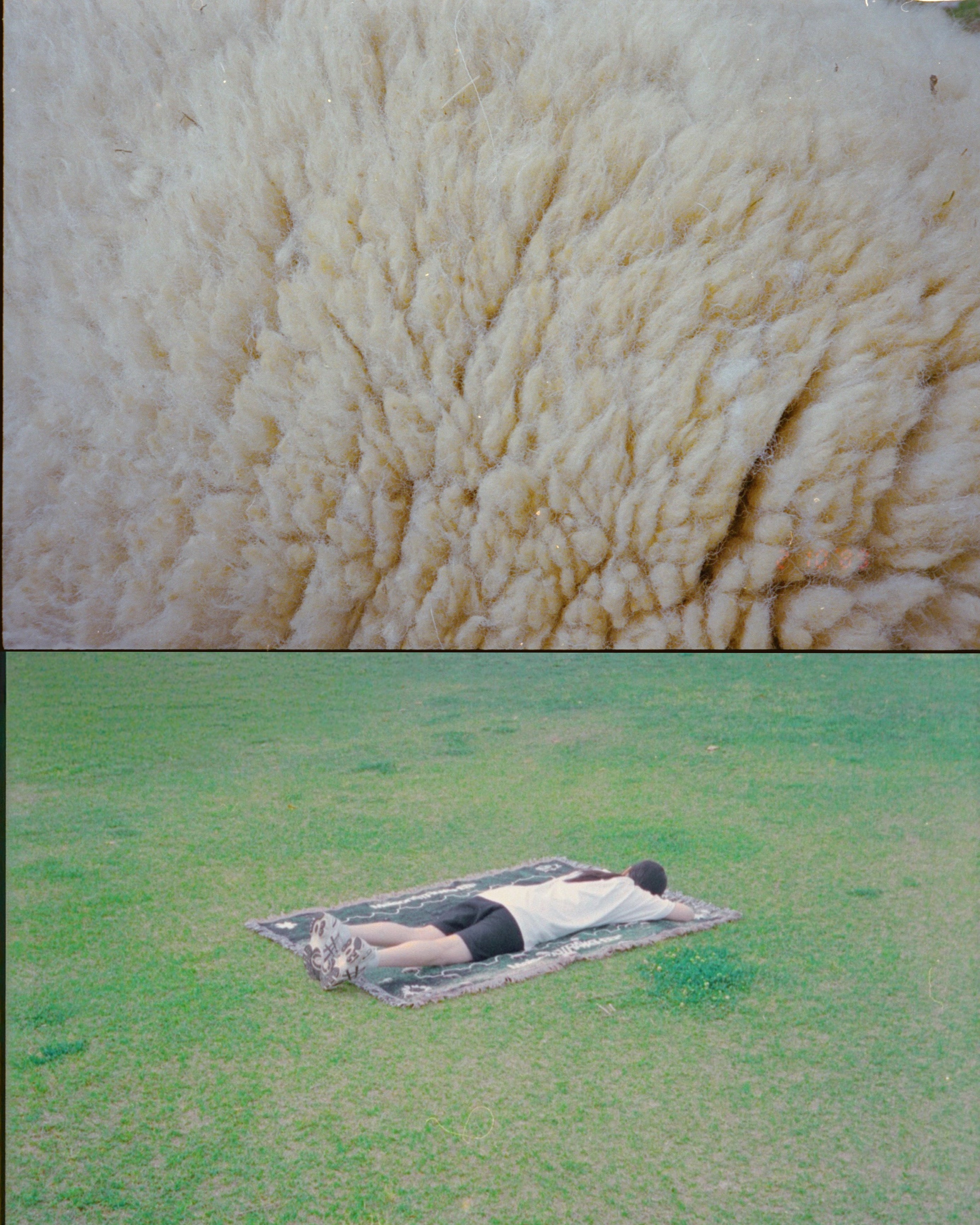 STRAYSHEEP RUG GREEN