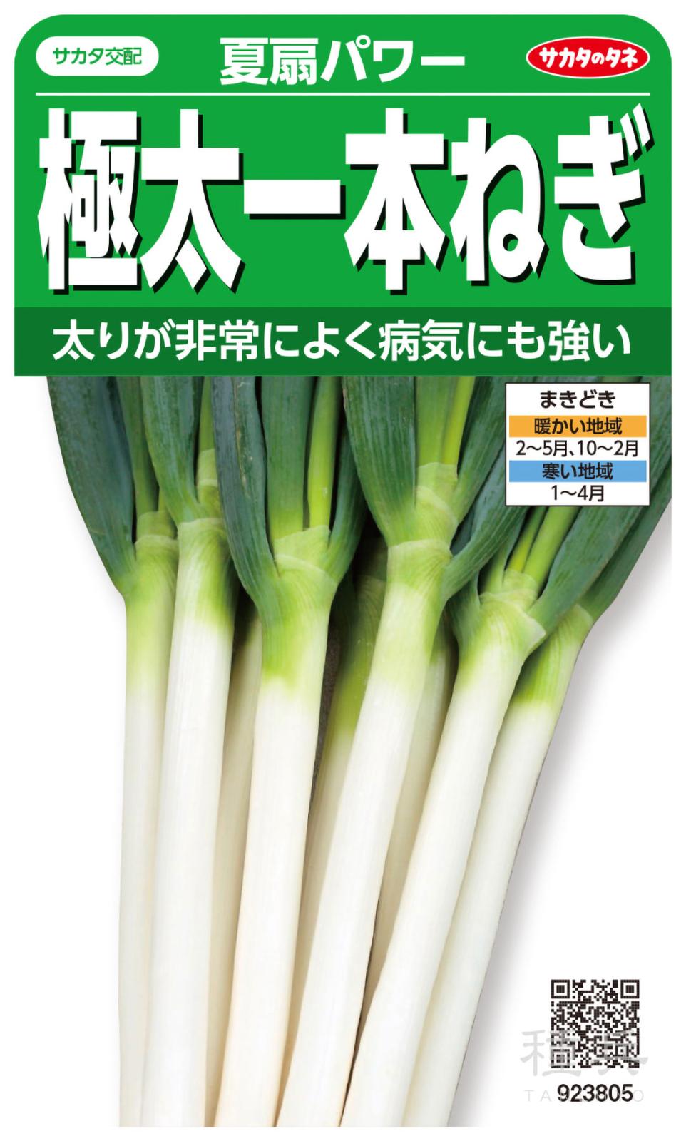 ネギ 種 『夏扇パワー』 サカタのタネ | たね,葉菜の種,ネギ,根深・白