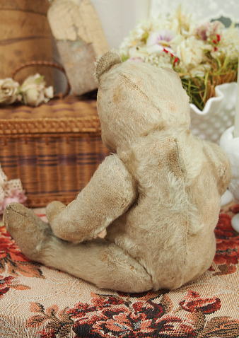 シュタイフ アンティーク テディベア VI504 | テディベア,ビンテージ
