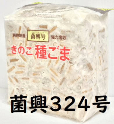 登録品種 菌興324号 駒菌（800駒）【きのこのお店 しいたけ本舗
