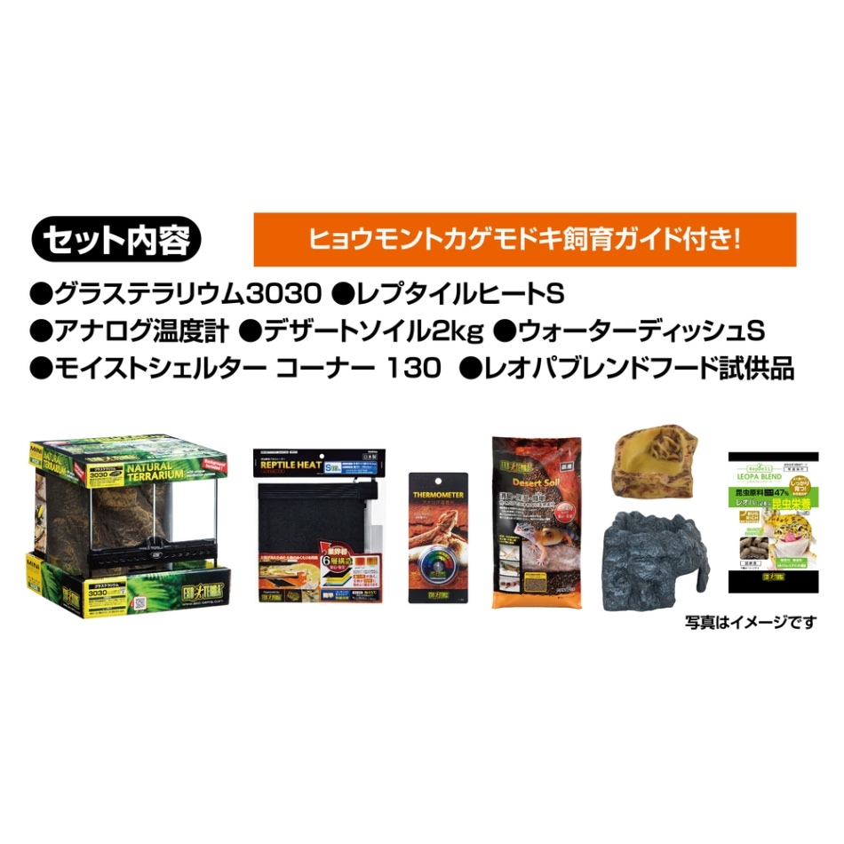 レオパ飼育キット GT3030 GEX | TOPCREATE