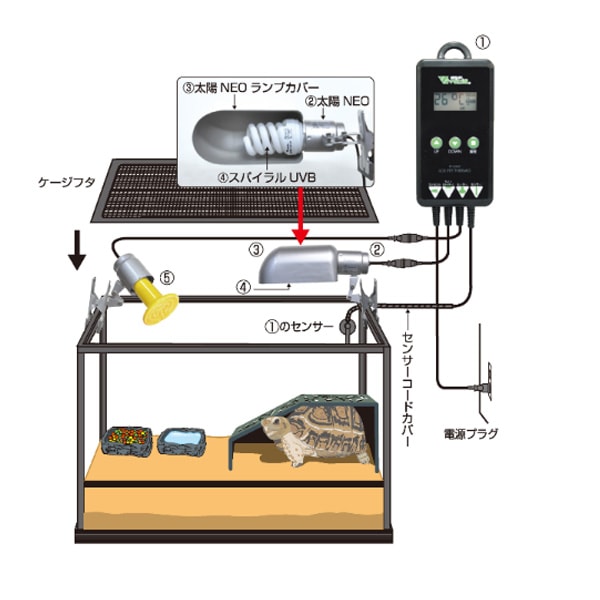 LCDペットサーモ RT-2000 ビバリア 爬虫類 両生類 温度管理 照明管理