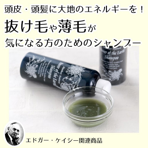 大地の力シャンプー（テンプルビューティフル・エドガーケイシー）