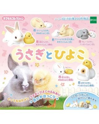 うさぎ用 ファンシー うさぎとひよこ 全6種コンプリートセット