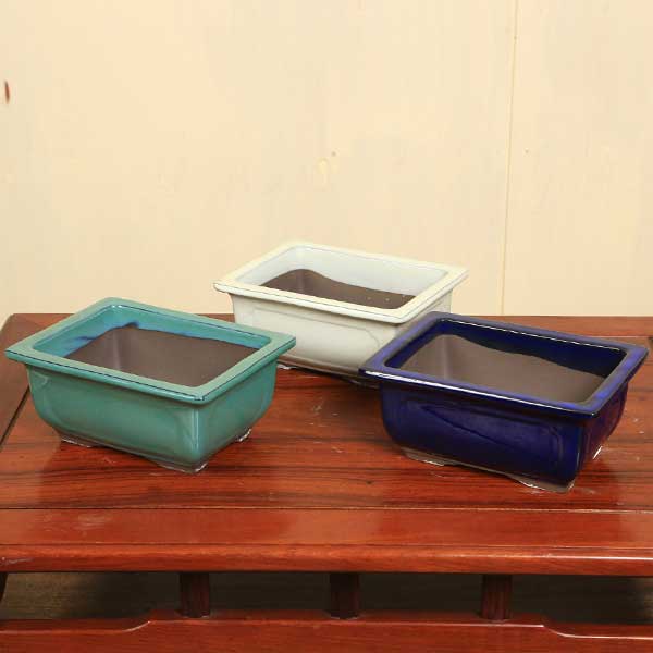 鉢：瀬戸焼長角窓入縁付鉢 6号*資材 | 盆栽鉢・水盤,お買い得小鉢,色物