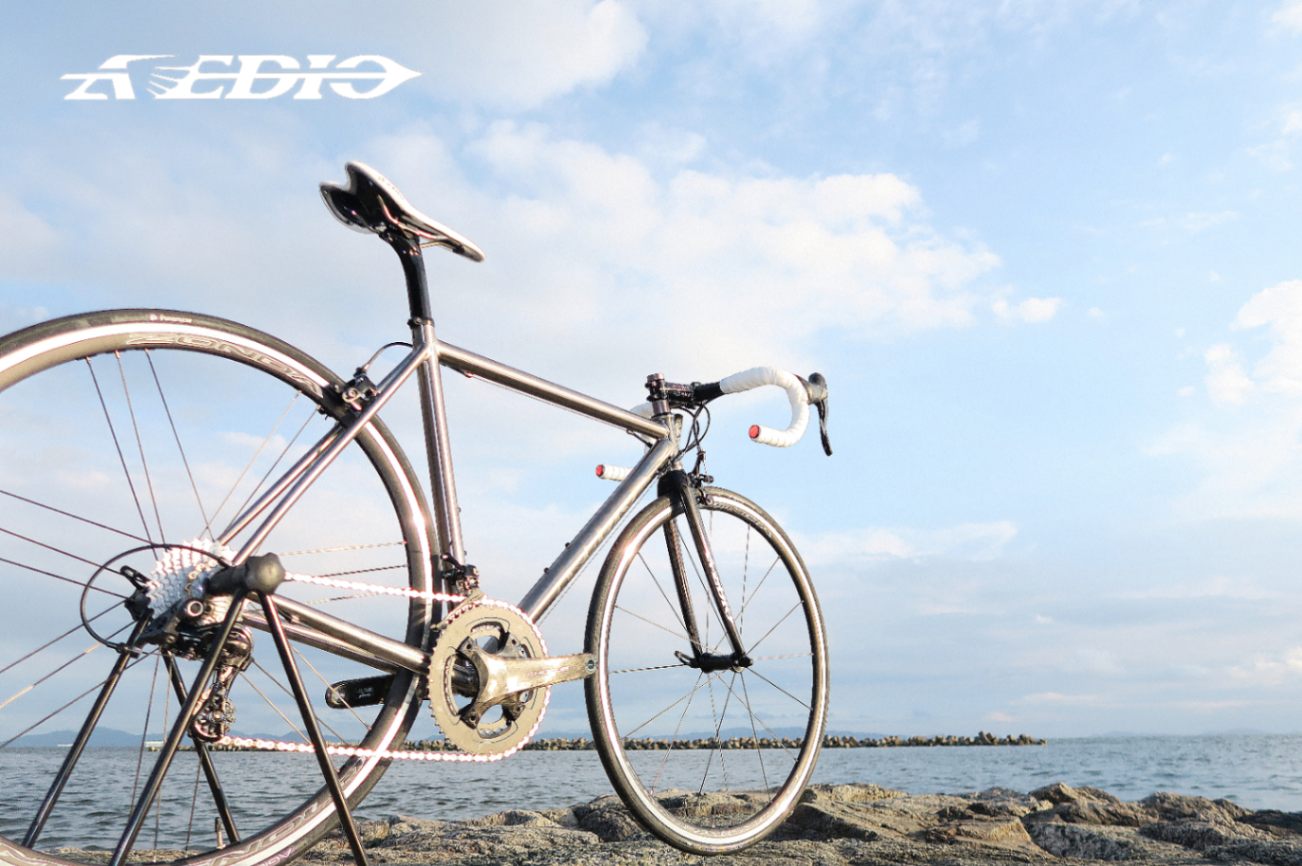 AVEDIO PEGASUS Campagnolo CHORUS TITANIUM FRAME / CARBON RIBFORK