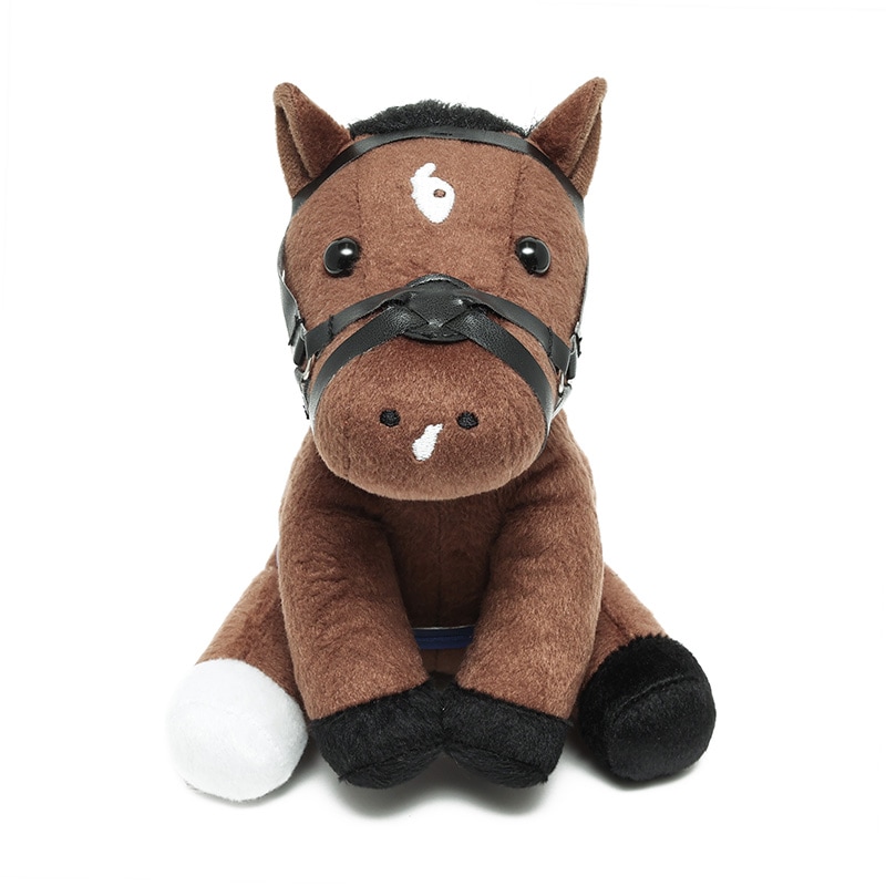 アイドルホース【グランアレグリア/'21マイルチャンピオンシップ】(M