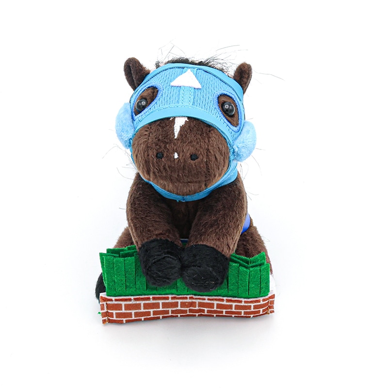 アイドルホース【オジュウチョウサン/第21回中山GJ大生垣】(Sサイズ