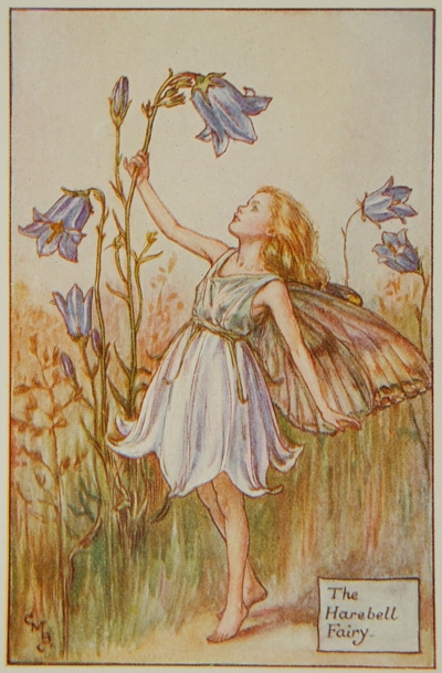 シシリー・メアリー・バーカー 挿画本「花の妖精・夏」 | | アトリエ