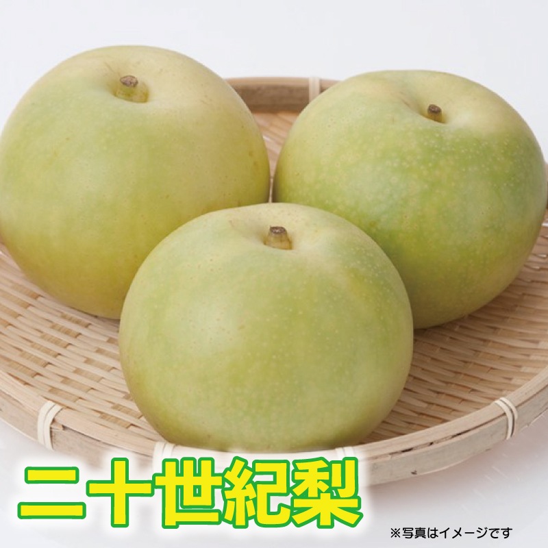 梨「二十世紀」【予約】｜産地直送 通販｜ふれあい村アスパル公式通販