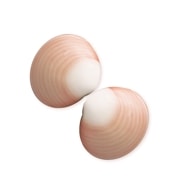 ホットストーン 特大玄武岩 4個セット(アリゾナ)(特大8-9cm)エクストラ