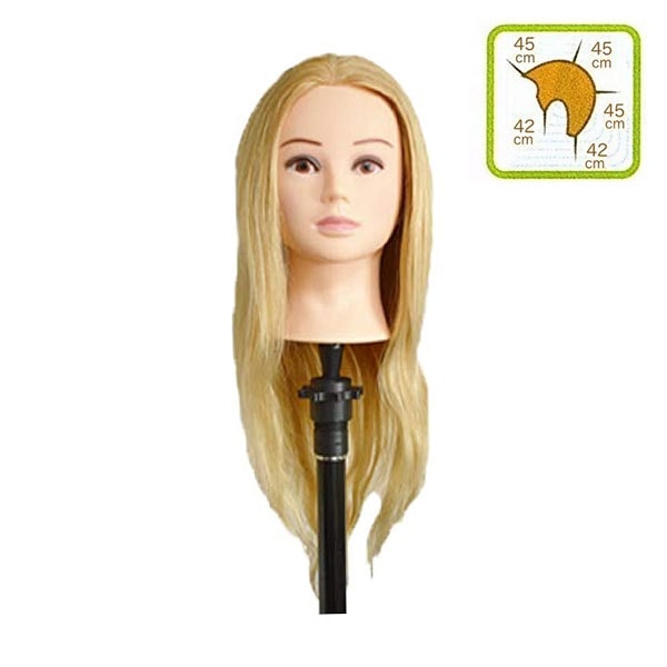 人毛ウィッグ アップ用ウィッグ UP180G（ブロンド） ハチ約51cm カット