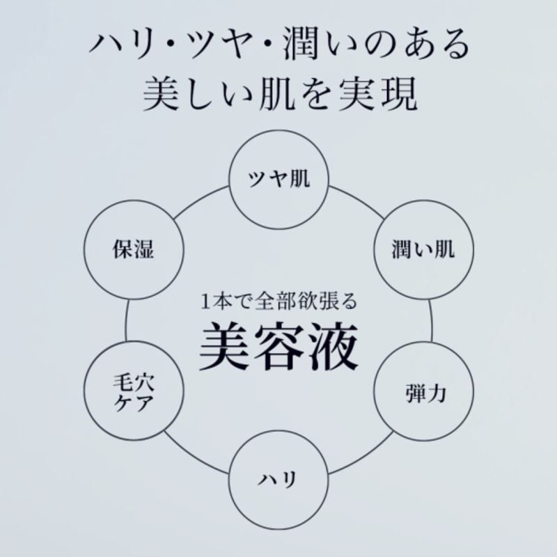 MetaLT SKIN メタエルティスキン 全身美容器MetaLT(メタエルティ)付属