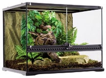 エキゾテラ グラステラリウム 6045