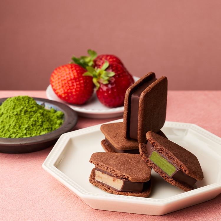 ショーコラ・スプリングセット4個入 VANILLABEANS公式オンラインショップ