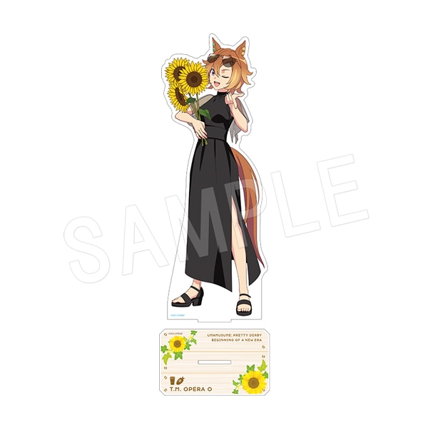 一般予約】劇場版『ウマ娘 プリティーダービー 新時代の扉』BIG