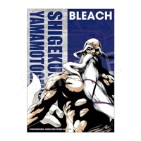 予約】BLEACH B3布ポスター 藍染 惣右介 | は行,BLEACH | Chugaionline