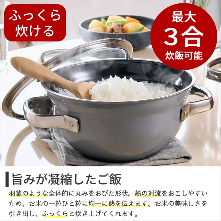 フュージョンテック ミネラル ライスポット 20cm WMF - キッチン雑貨