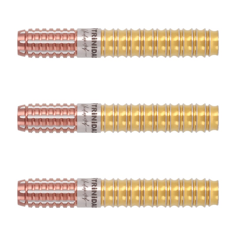 TRINIDAD HID TYPE ダーツセット TRINIDAD HID TYPE ダーツセット ダーツ > ソフトダーツ > ブランド