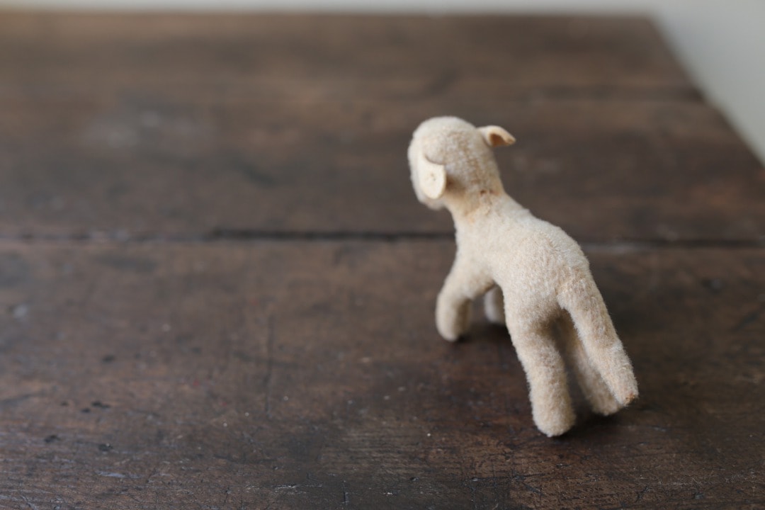 シュタイフ 羊の“ランビー” ｜ D+EMARKET Online